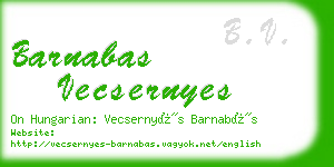 barnabas vecsernyes business card